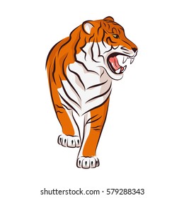 Angry tiger. Vector illustration isolated on white background.