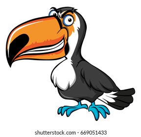 Angry toucan bird on white background