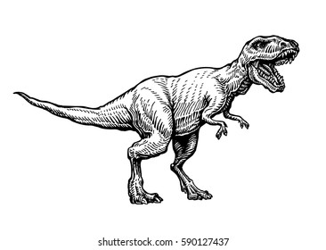 Angry tyrannosaurus rex with open huge mouth, sketch. Hand-drawn carnivorous dinosaur. Animal vector illustration