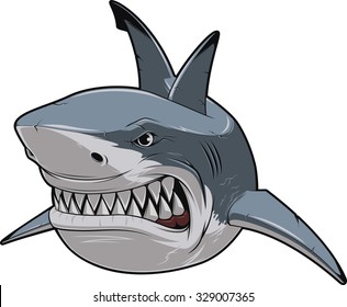 Angry white shark