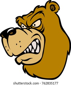 A angry wild bear 