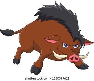 Angry wild boar or wild pig cartoon