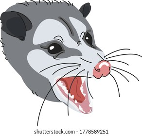 Angry Wild Opossum Screaming And Growling Vector Cartoon Illustration