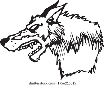 angry wolf or coyote vector illustration