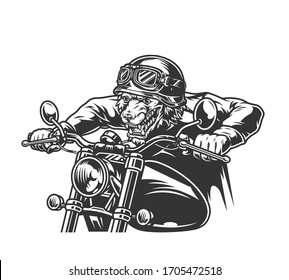 Angry wolf head biker in motorcycle helmet and goggles riding motorbike in vintage monochrome style isolated vector illustration