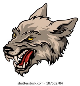 Angry wolf head, colorful vector illustration isolated on white 