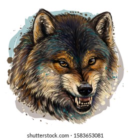 
Angry wolf. Sketchy, graphical, color portrait of a wolf head on a white background with splashes of watercolor.