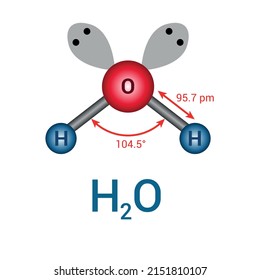 Angular or bent shape of water (H2O). The water molecule. Vector illustration isolated on white background