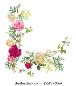 Angular frame: red, white, pink roses, thuja (arborvitae). Corner border for Christmas: flowers, buds, leaves, green twigs, cones on white background, digital draw, watercolor style, vector