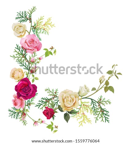 Angular frame: red, white, pink roses, thuja (arborvitae). Corner border for Christmas: flowers, buds, leaves, green twigs, cones on white background, digital draw, watercolor style, vector