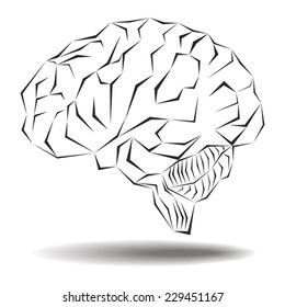 Angular geometric representation of the human brain  