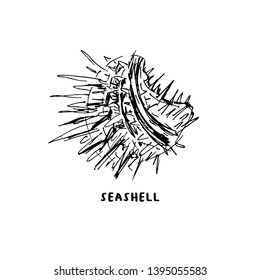 Angular murex seashell hand drawn vector logo with lettering. Seashore conch, mollusk monochrome sketch. Freehand outline clam shell engraving. Conchology isolated design element. Realistic ink pen dr