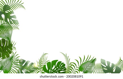 angular vector frame of green  leaves of beautiful exotic tropical plants for invitations or greeting cards . rainforest vegetetion images