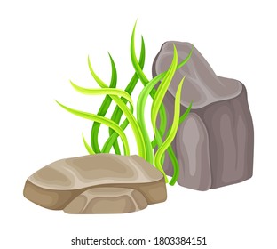 Angulated Sea Stone or Subsurface Rock with Seaweeds and Algae Vector Composition