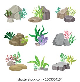 Angulated and Smooth Sea Stones with Seaweeds and Algae Vector Composition Set