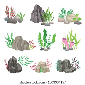 Angulated and Smooth Sea Stones with Seaweeds and Algae Vector Composition Set