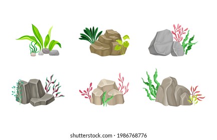 Piedras marinas angostas y suaves con algas y conjunto de composición vectorial de algas