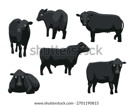 Angus Aberdeen Cattle Various Poses Cartoon Vector Character