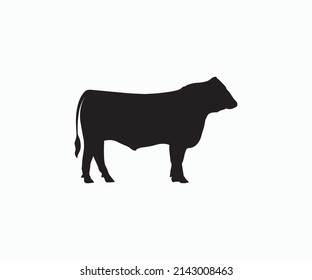 Angus Cow Silhouette Vector. Angus, Decree, Cattle, Cows, Bull, Cow, Intimidate, Art, Artwork, Painting, Silhouette. svg