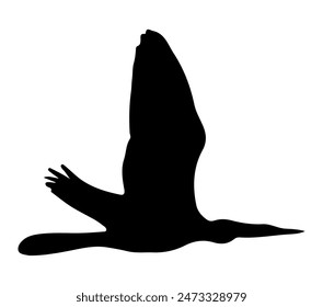 Anhinga Ilustración vectorial sobre fondo blanco.