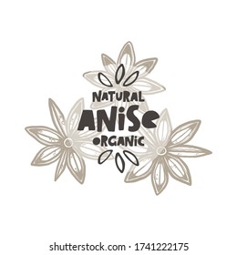 Anice tree hand drawn botanical plant sketch style illustration with typograthy. Grunge stylized vector herbal lettering illustration. Isolated badyan leaves. Monochrome leaf and stars