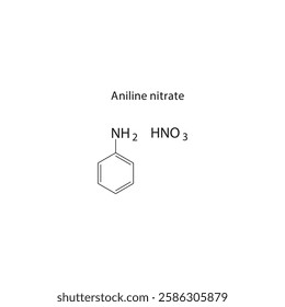 Aniline nitrate skeletal structure.Aromatic amine salt compound schematic illustration. Simple diagram, chemical formula.