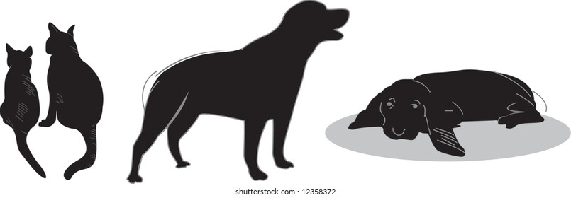 animal