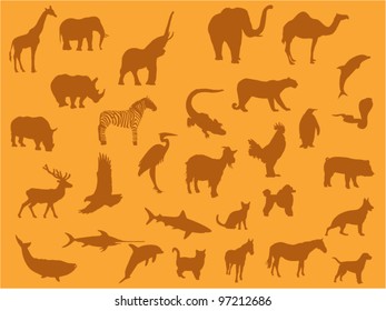 Animal