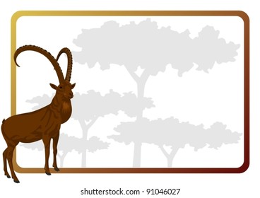 Animal against the frame with the trees