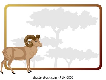 Animal against the frame with the trees