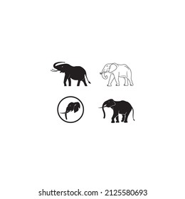 Animal Alephant Logo Template vector icon illustration design 