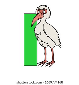 animal alphabet. capital letter I, Ibis. Vector illustration. For pre school education, kindergarten and foreign language learning for kids and children. For print and books, zoo topic.