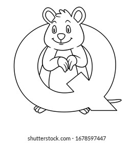 animal alphabet. capital letter Q, Quokka. Vector illustration. For pre school education, kindergarten and foreign language learning for kids and children. Coloring page and books, zoo topic.