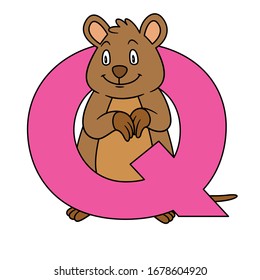 animal alphabet. capital letter Q, Quokka. Vector illustration. For pre school education, kindergarten and foreign language learning for kids and children. For print and books, zoo topic.