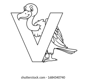 Animal alphabet. capital letter V, Vulture. Vector illustration. For pre school education, kindergarten and foreign language learning for kids and children. Coloring page and books, zoo topic.