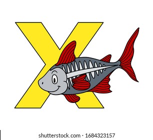 Animal alphabet. capital letter X, x-ray fish. Vector illustration. For pre school education, kindergarten and foreign language learning for kids and children. For print and books, zoo topic.