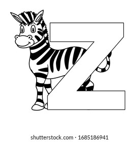Animal alphabet. capital letter Z, Zebra. Vector illustration. For pre school education, kindergarten and foreign language learning for kids and children. Coloring page and books, zoo topic.