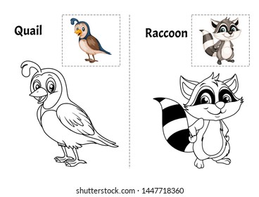 Animal Alphabet Coloring Book for Preschool Kids with Stickers. Colorful and Colorless Versions of Quail  and Raccoon on A4 Paper. Ready for Print. Kids Activity Educational Printable. Alphabet Book