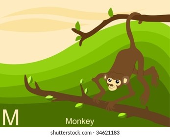 Animal alphabet flash card, M for monkey