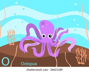 Animal alphabet flash card, O for octopus