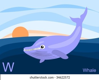 Animal alphabet flash card, W for whale