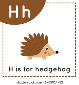 Animal alphabet flashcard for children. Learning letter H. H is for hedgehog.