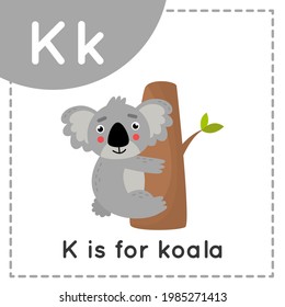 Animal alphabet flashcard for children. Learning letter K. K is for koala.