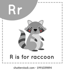 Tieralphabet-Taschenkarte für Kinder. Lernbrief R. R ist Raccoon.