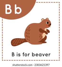 Animal alphabet flashcard for children. Learning letter B. B is for beaver.