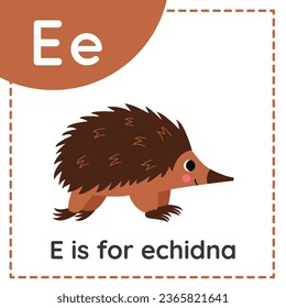 Animal alphabet flashcard for children. Learning letter E. E is for echidna.