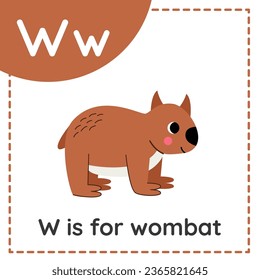 Animal alphabet flashcard for children. Learning letter w. w is for wombat.