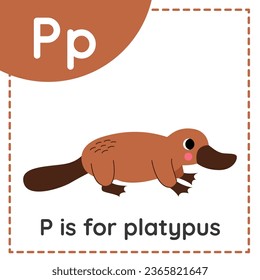 Animal alphabet flashcard for children. Learning letter P. P is for platypus.