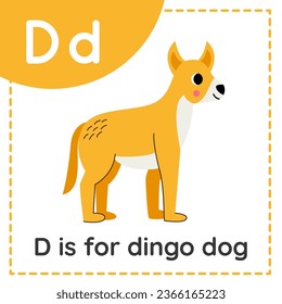 Animal alphabet flashcard for children. Learning letter D. D is for dingo dog.