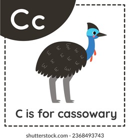 Animal alphabet flashcard for children. Learning letter C. C is for cassowary.